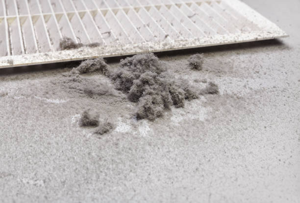 Best Affordable Duct Cleaning Services  in Burien, WA