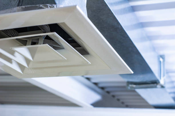 Best Air Duct Mold Removal  in Burien, WA
